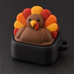 Thanksgiving turkey — generated design concept, not a printed sample